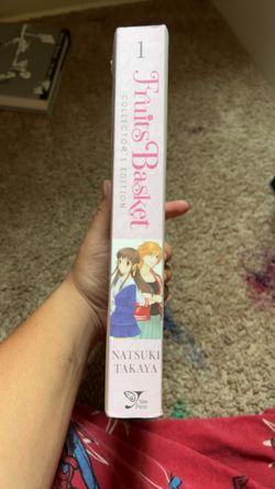 Fruit basket anime book (manga)