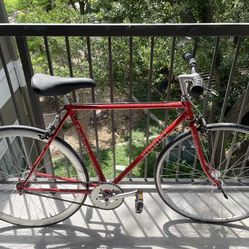 Nashiki bike 