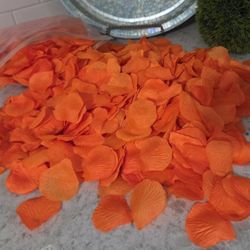 Large Quantity of ORANGE ROSE petals 