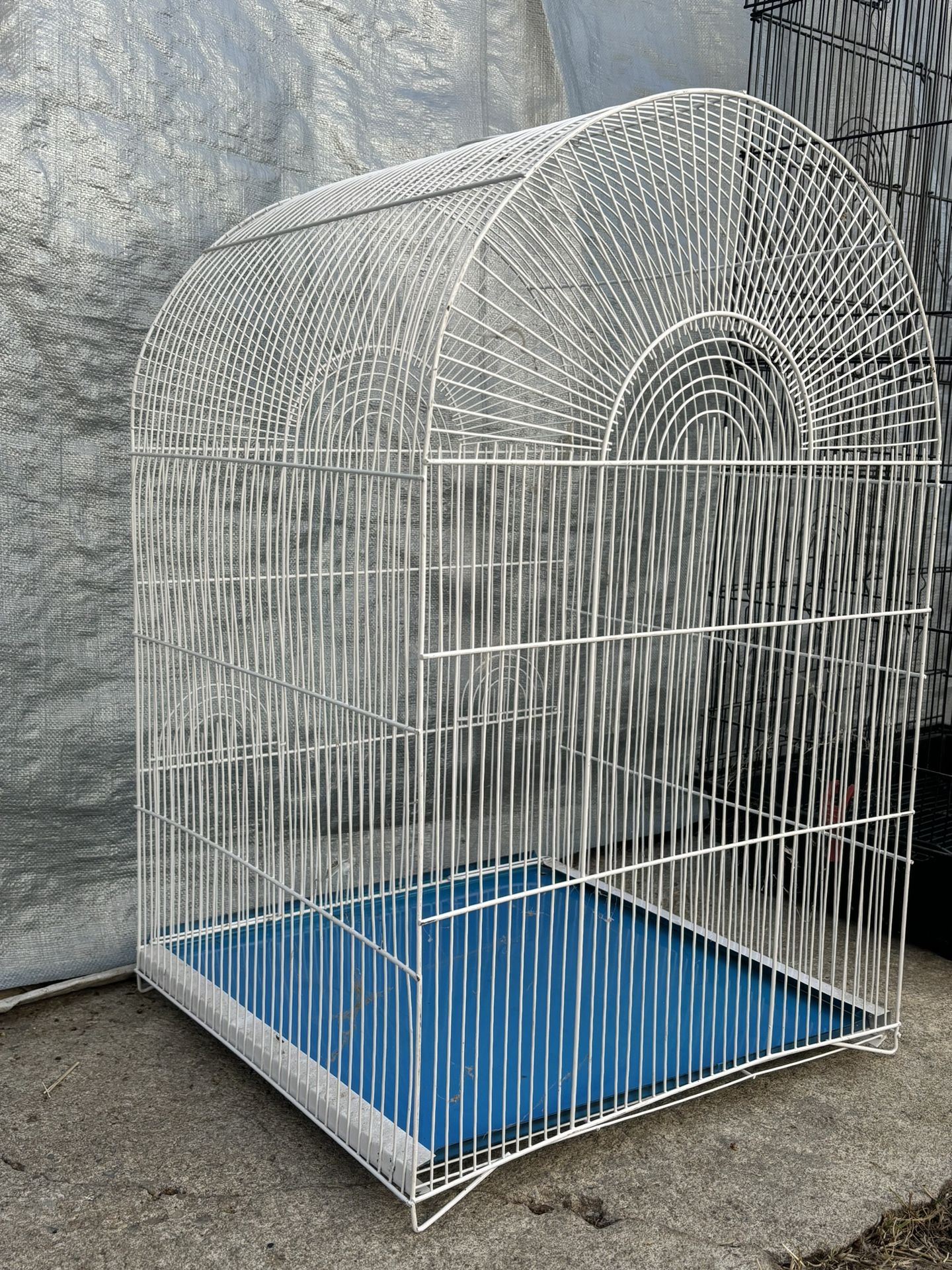 Bird Cage