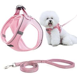 Pink Dog Harness and Leash