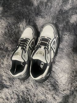 Grey Diors b30