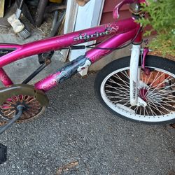 Free Style Bike
