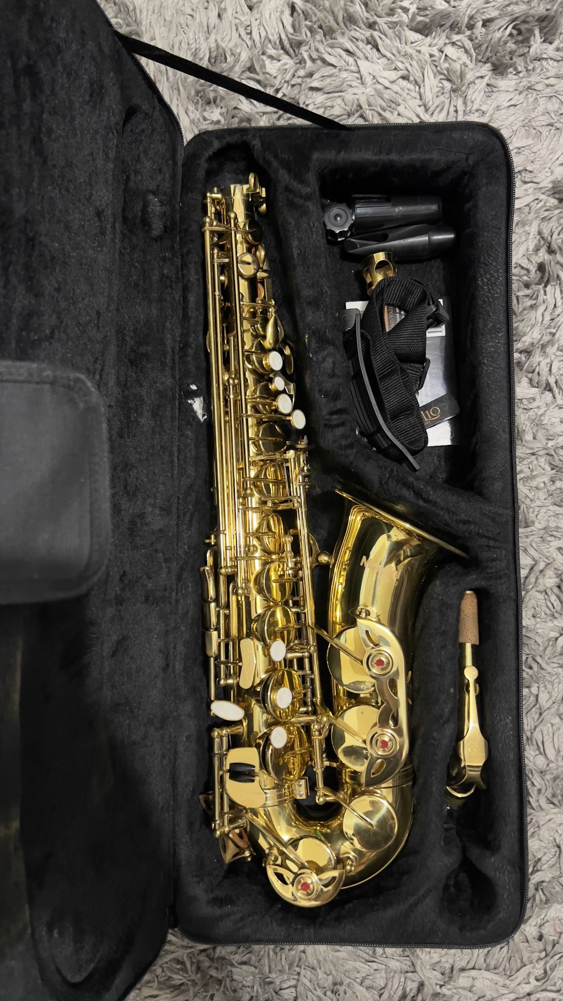 Mendini by Cecilio Alto Saxophone - Perfect for Students!