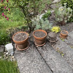 Free Flower Pots 