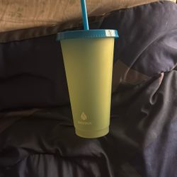 Green And Blue Manna Cup