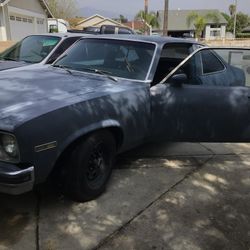 Nova 1978