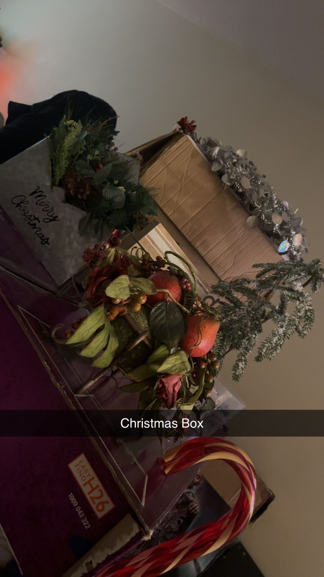 Big box of Christmas Decor