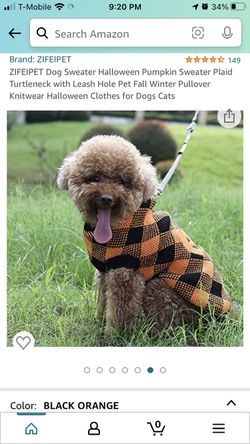 Dog Pumpkin Sweater  Thumbnail