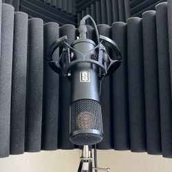 Slate Digital Modeling Microphone 