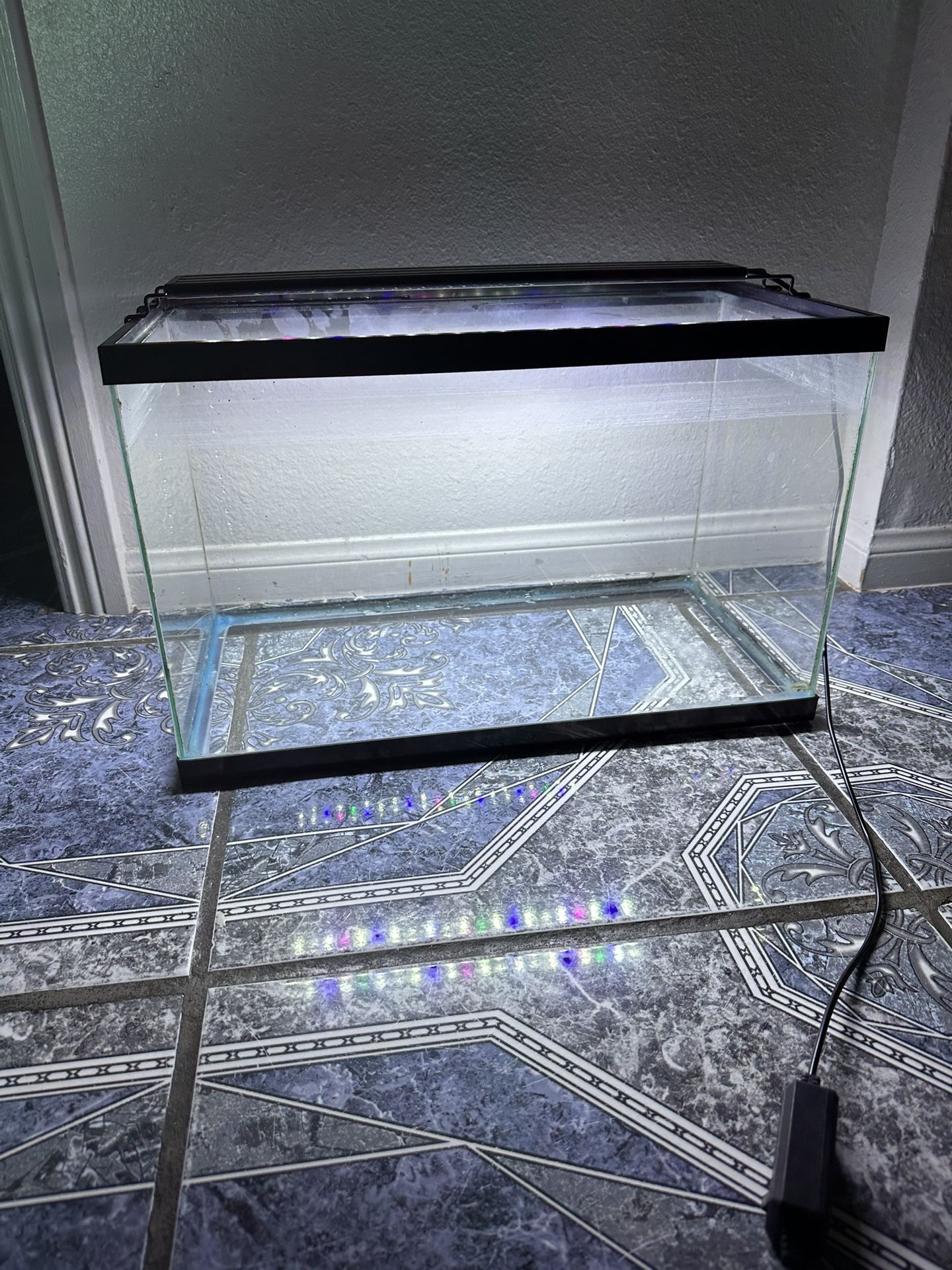 Fish Tank