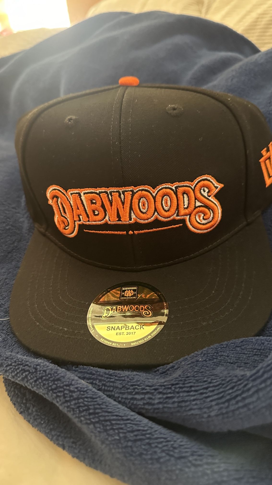 Dabwoods SnapBack