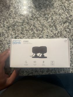 Blink Cameras