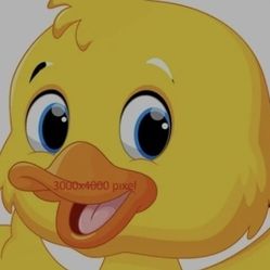 Ocupo 1 Chalan En El Área De Garland  