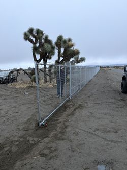 Fence And Gates