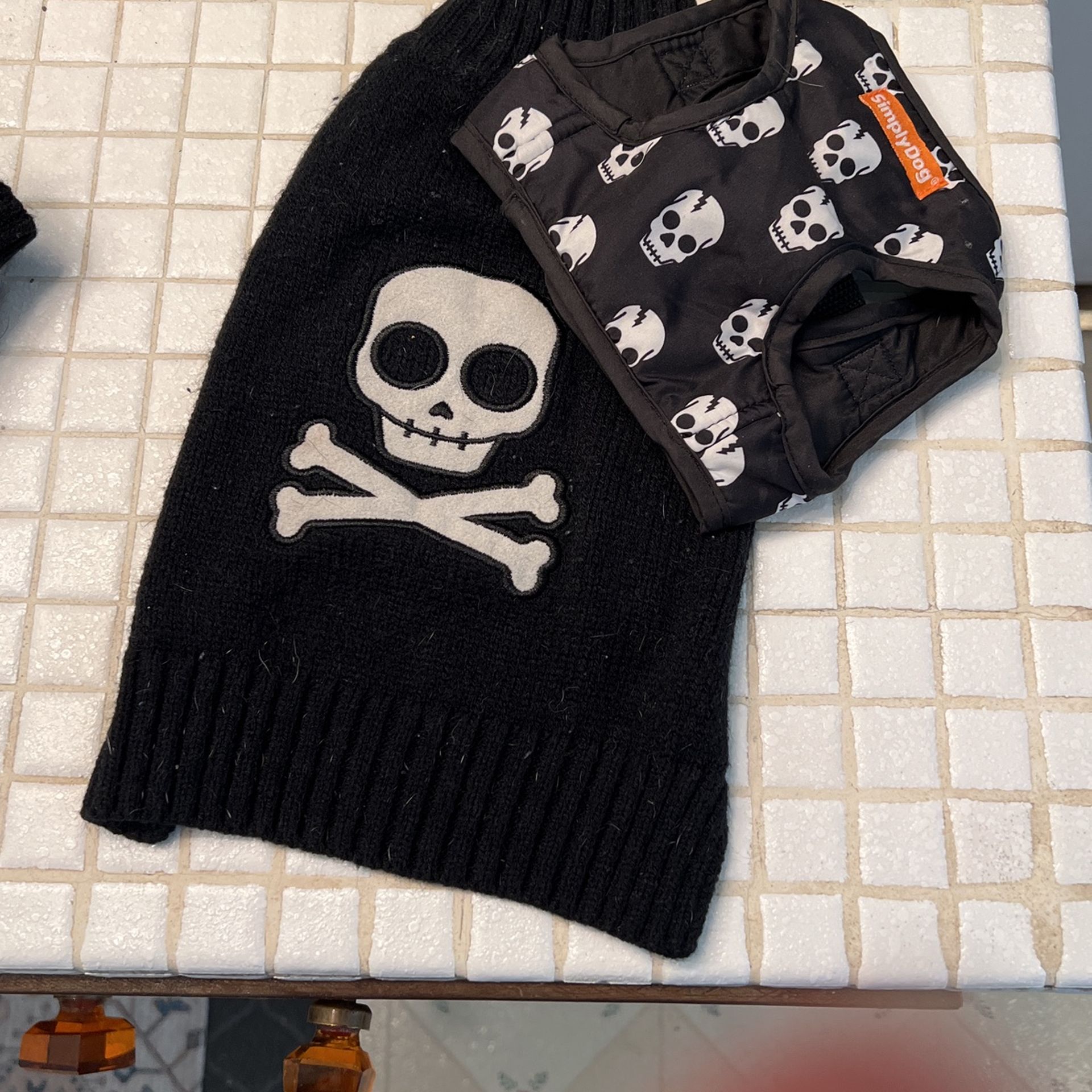 Dog sweater & Harness XS