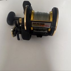 Daiwa Sealine X40 SHA 