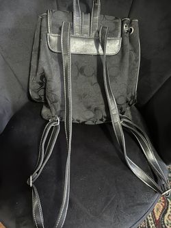 Backpack Coach