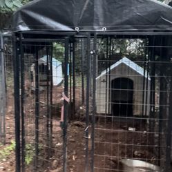 Kennel