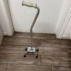 Walking Cane 