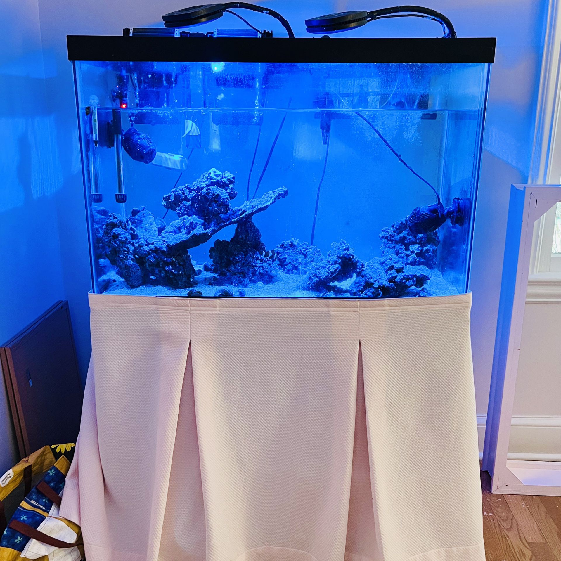 65 Gallon Glass Aquarium W/Stand and Removable Skirt