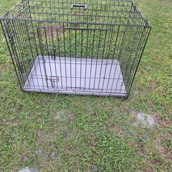 Dog  Cage