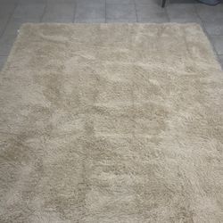 8x10 Shaggy Area Rug 