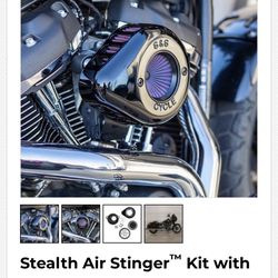 S&S Air Stinger Air Cleaner