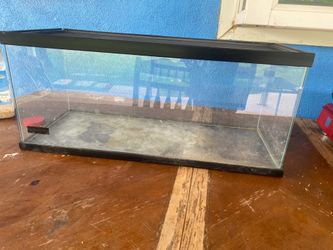 Fish tank ￼