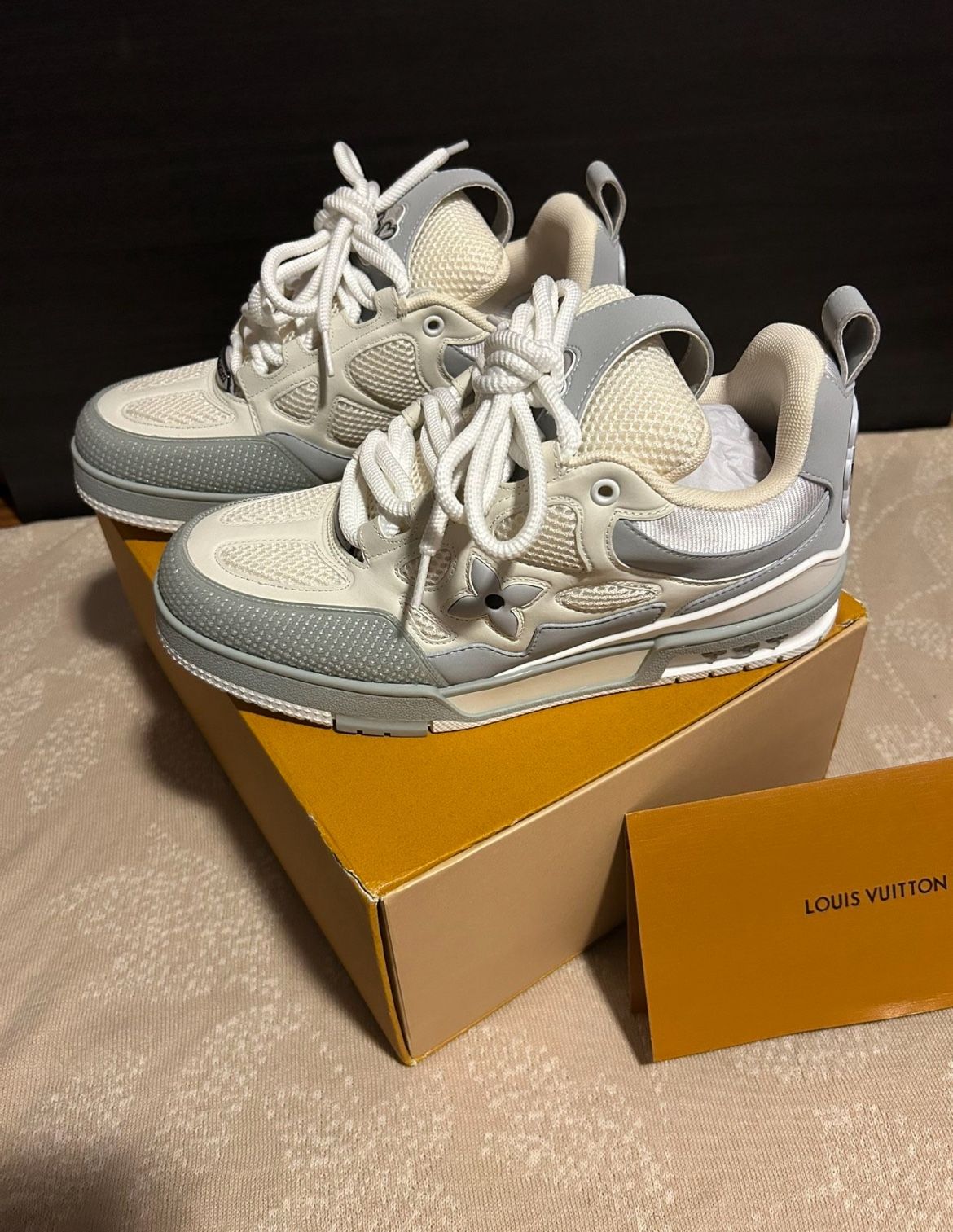 Louis Vuitton Skates