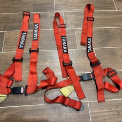 Tanaka Racing Harnesses