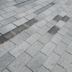 Roofing Siding Gutters Windows Capping Etc 