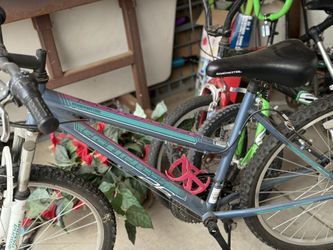 Beautiful Bike