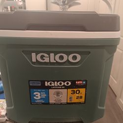 portable refrigerator cabinet