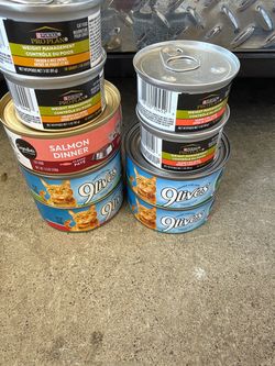 cat food