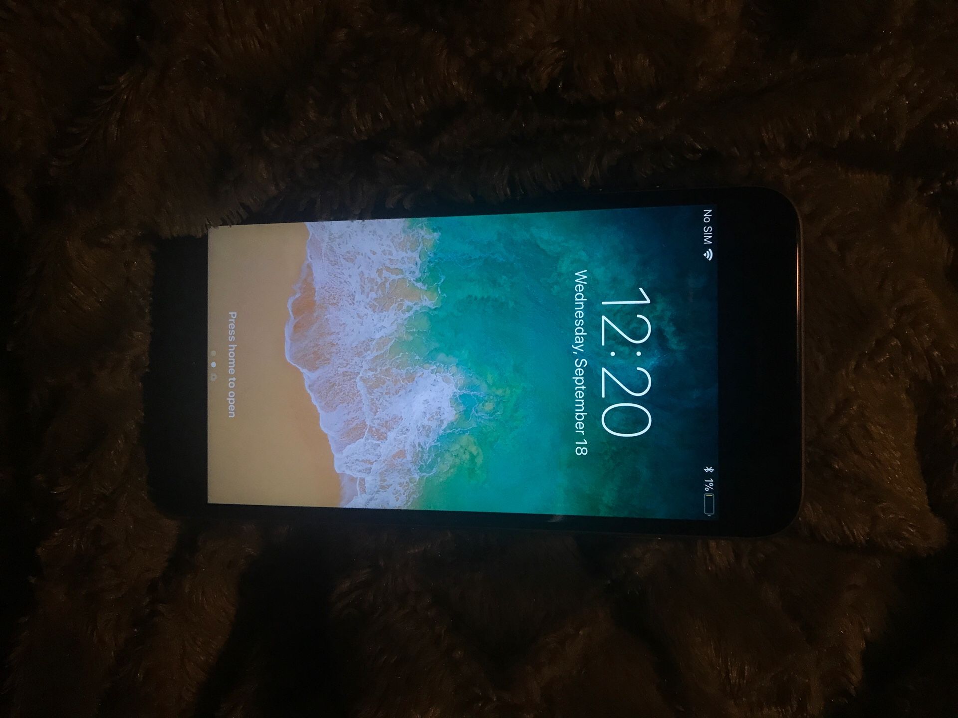 FED locked iPhone 6s Plus (sprint)