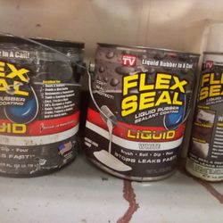 $100 Flex Seal