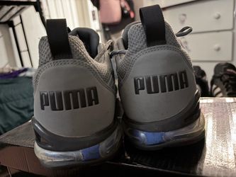 Pumas
