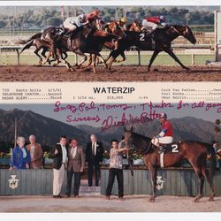 Dick Van Patten Inscribed Photograph / autograph / First place Horse Team