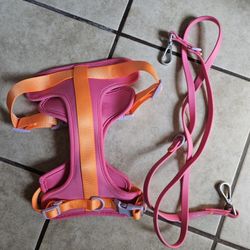 Dog Harness And Leash