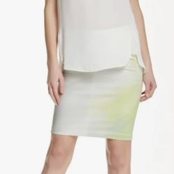 Tahari Pencil Skirt