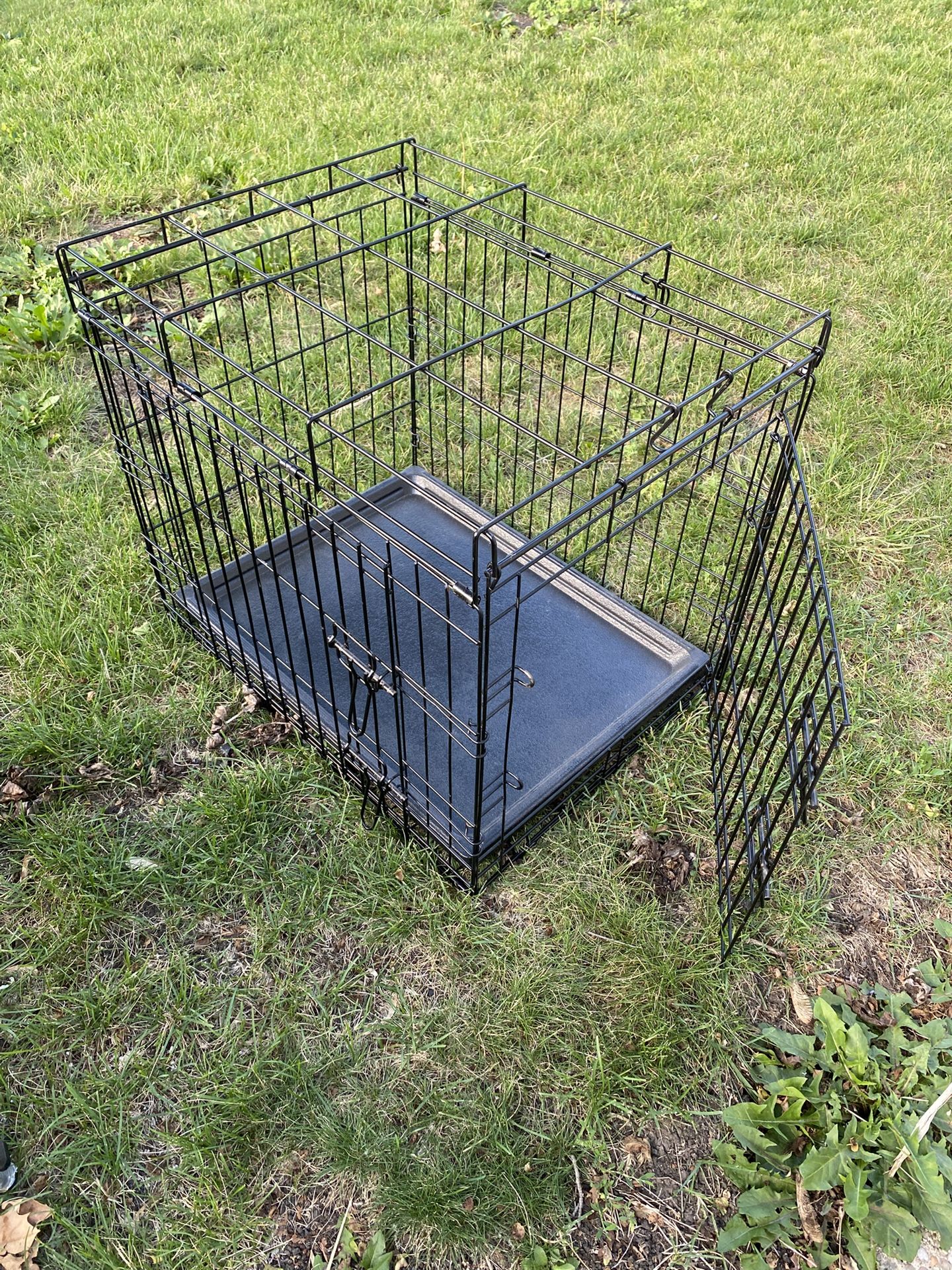 Metal Cage