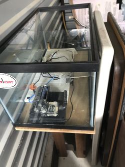 Semi- aquatic aquarium set up