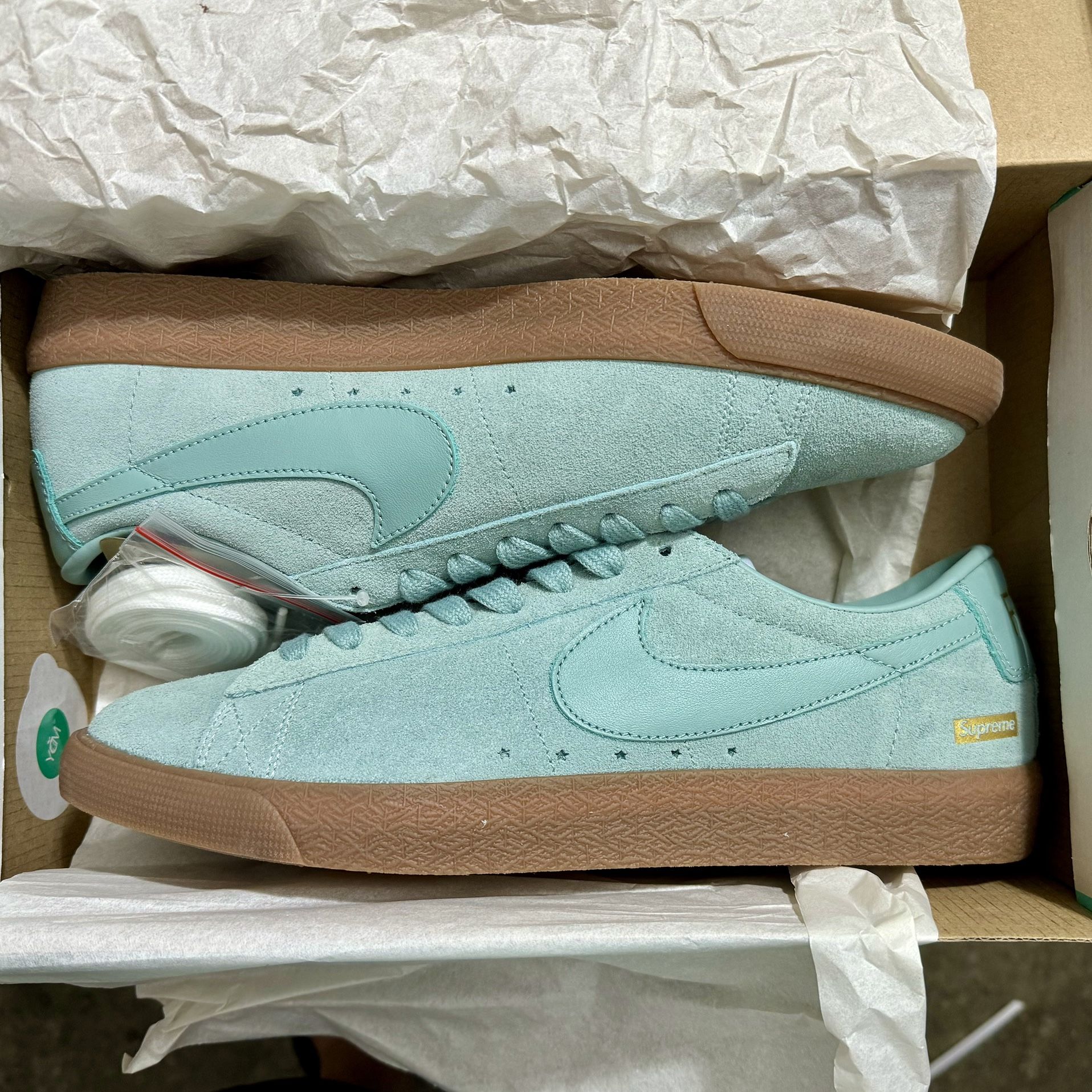 Supreme Nike SB Blazer Low GT