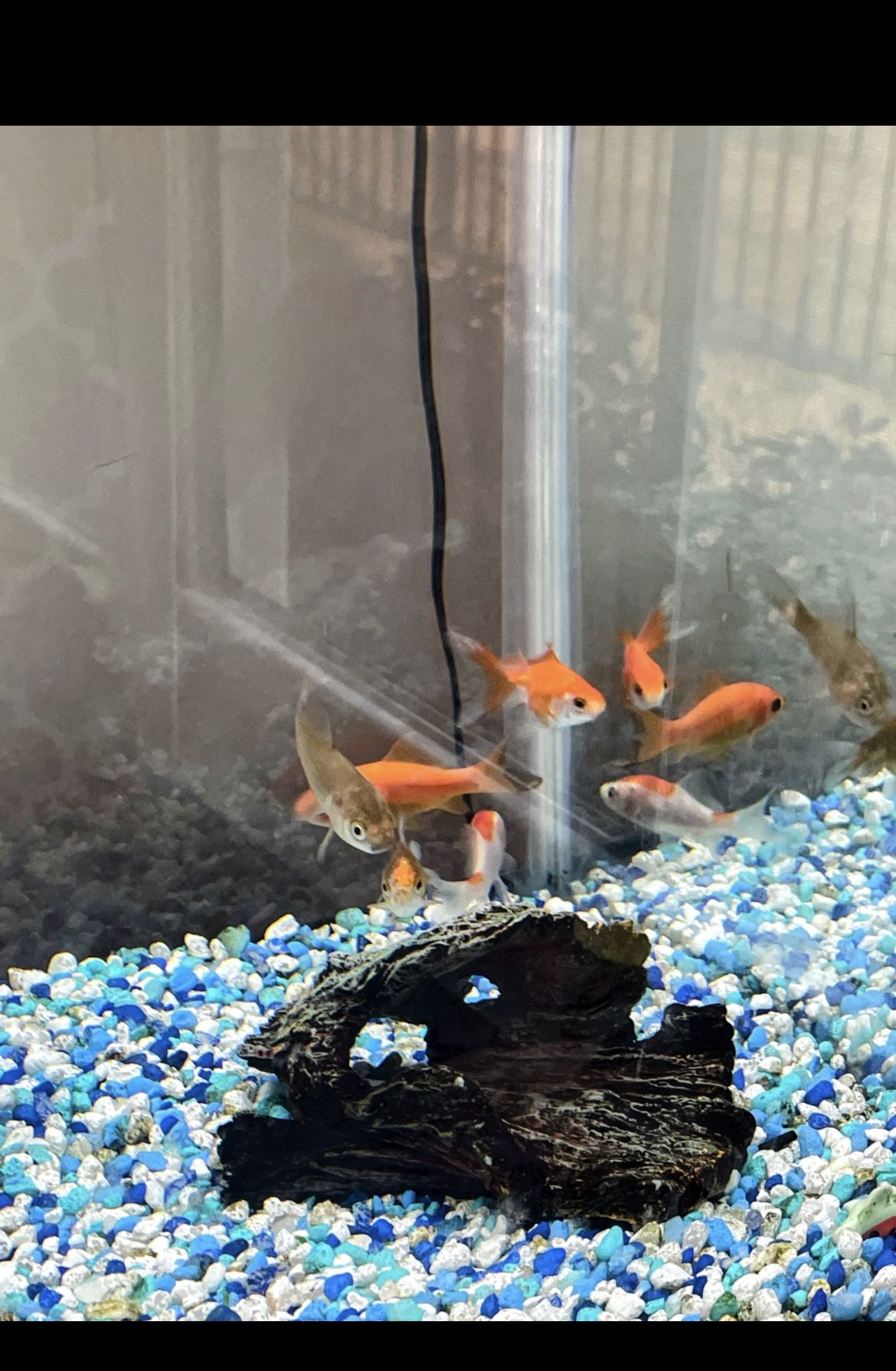 Column Aquarium And Stand With Storage - 15 Gallon Tank