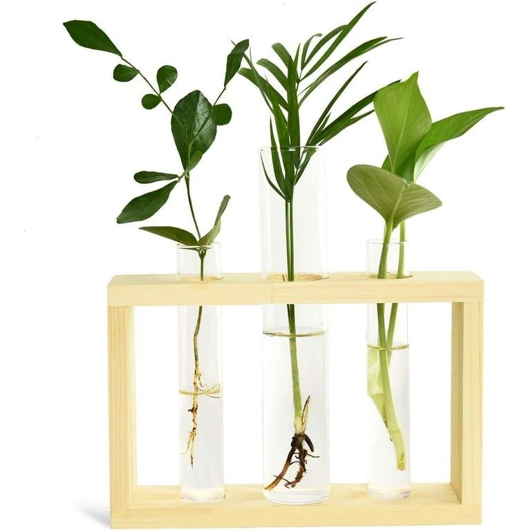 Test Tube Planter Plant Propagation Station Glass Terrarium Test Tube with Wood Stand