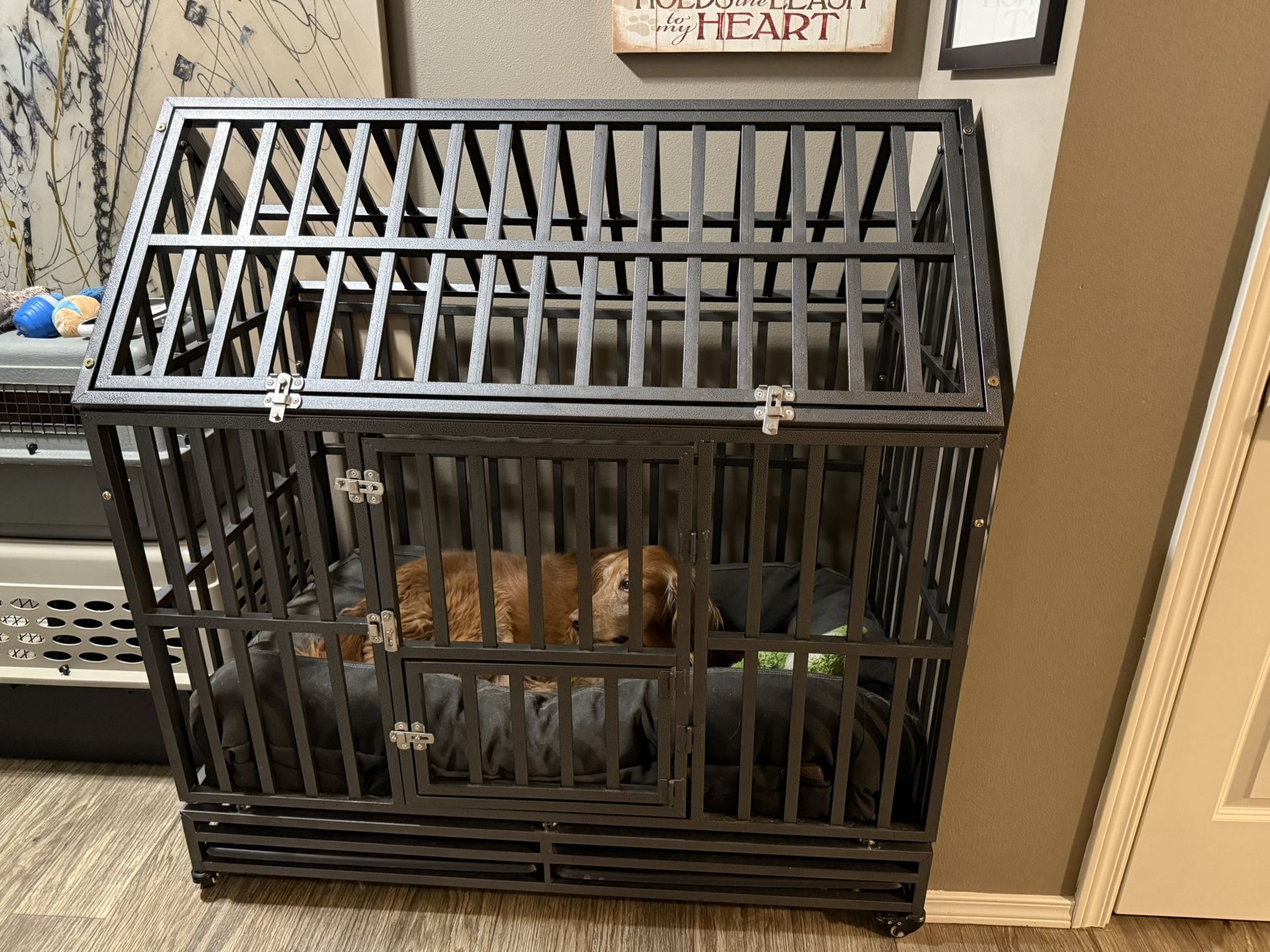 Dog Crate