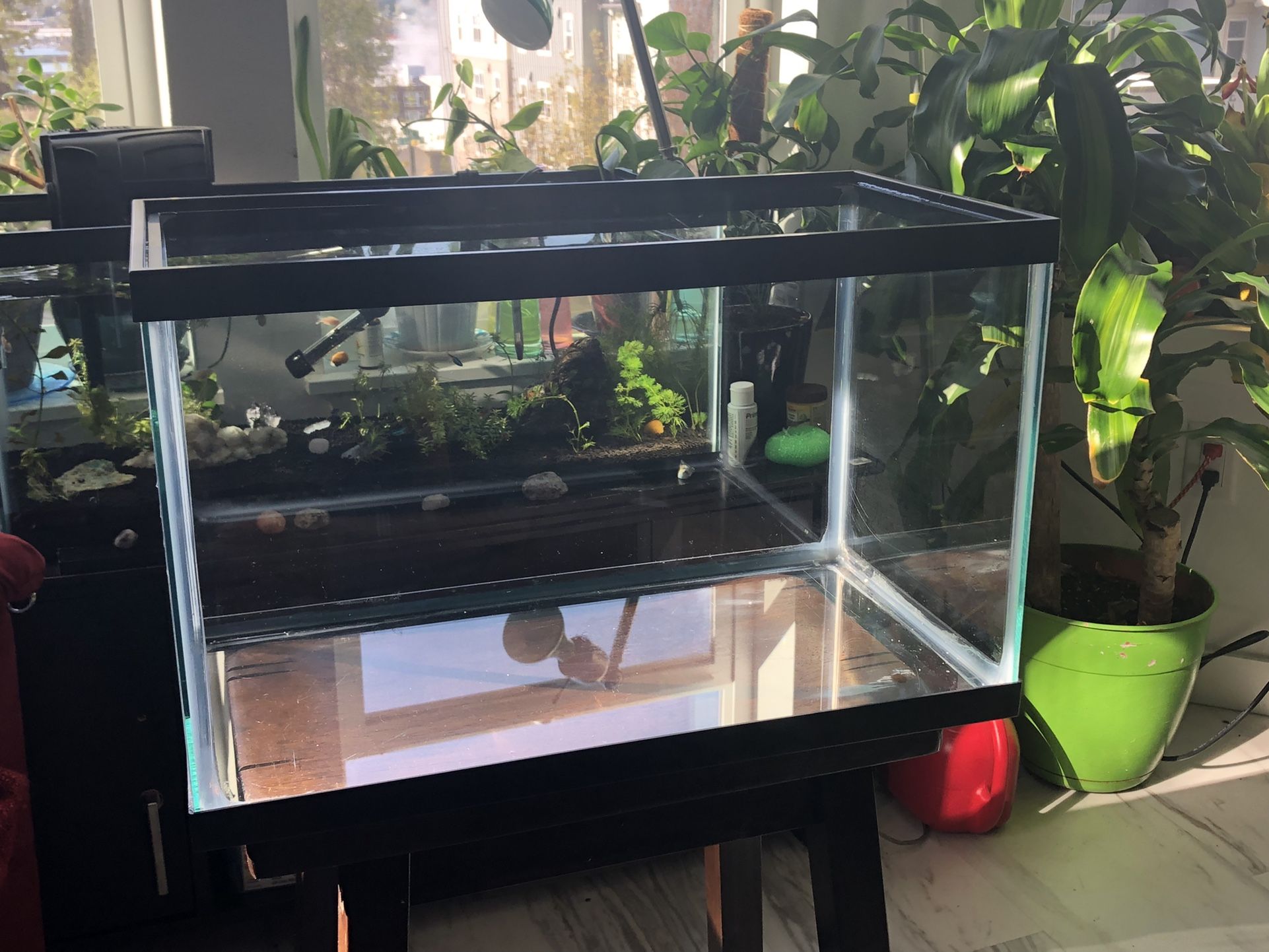 10 Gallon Fish Tank