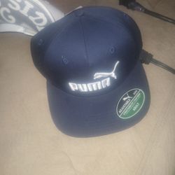 Adult Blue Puma Hats  $20 Per Hat