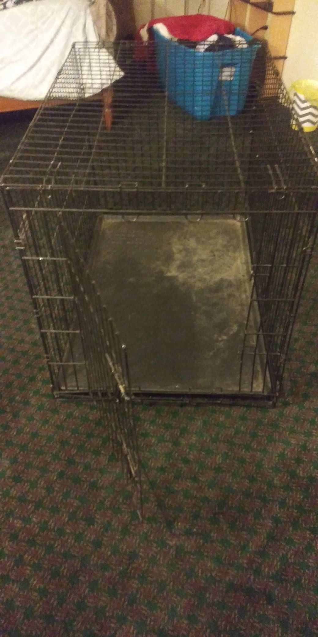 Cage for our best friend...anytime